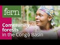 Community forests in the congo basin what is the eus role