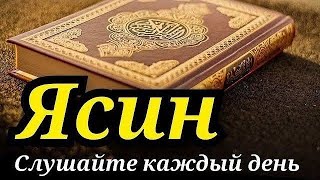 СУРА ЯСИН СЛУШАЙТЕ КАЖДЫЙ ДЕНЬ Чтец суры Корана Исмаил каары