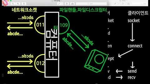 01강 [서버기초] C / 소켓 프로그래밍-1