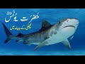 Hazrat yunus as aur machli ka waqia  urdu story by altahir tv