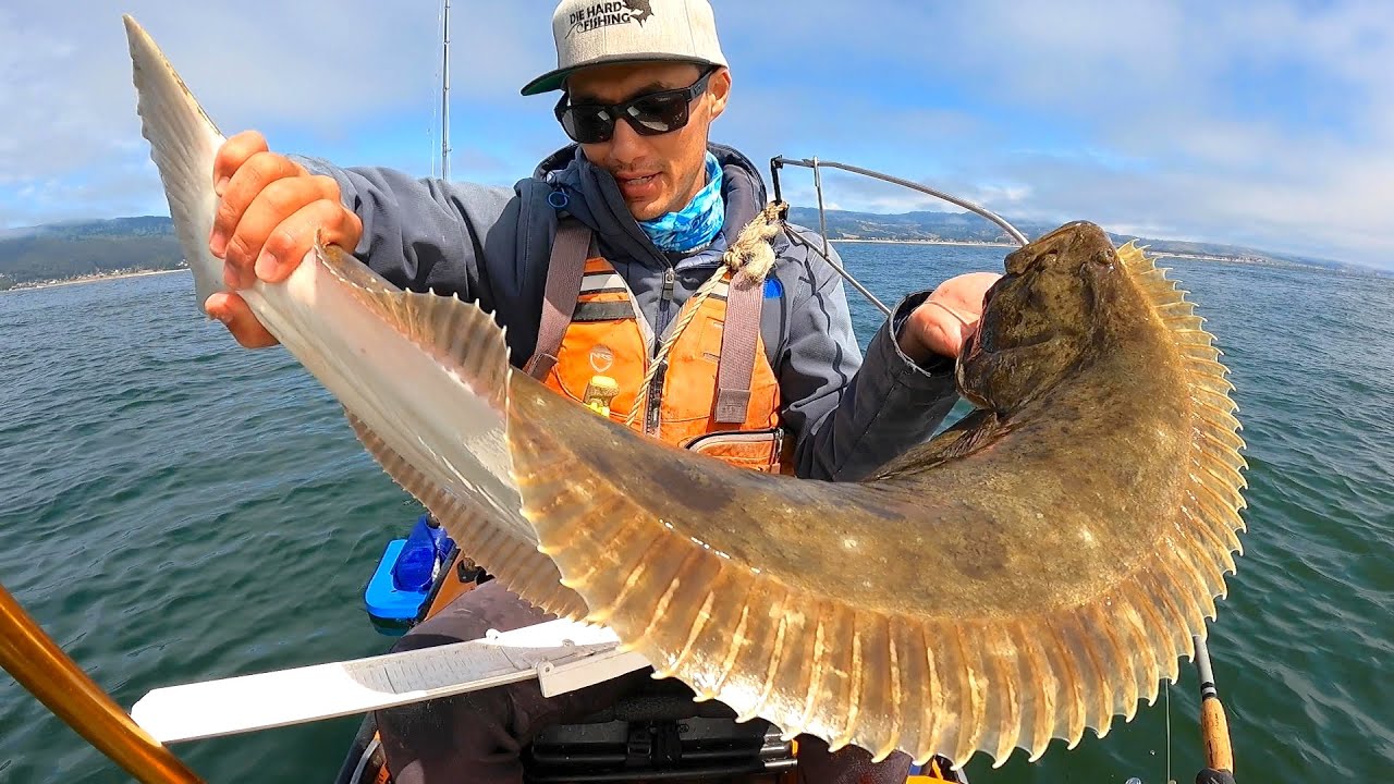 HUGE CALIFORNIA HALIBUT Caught Live Bait Fishing (oddly satisfying