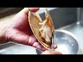 Japan Street Food - GIANT SCALLOPS Cheese Sashimi Seafood Okinawa Japanese