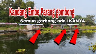 Mancing Jatiluhur Terbaru, Spot Parang Gombong kandang Embe