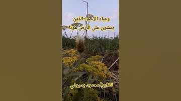 وعباد الرحمن  أواخر سورة الفرقان بصوت القارئ محمود بسيوني #new #دويتو #قران_كريم