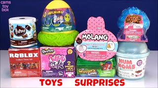 Toy Surprises Num Noms Molang Shopkins Pet Pods Roblox 3 Grossery Gang Hatchems Fun Kids Toys We are opening 8 new surprise toys for kids ! Cams Toy Box Opens the following Toy Surprises , Poopeez Blind Boxes from
