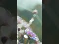 Tumhari Jagga Tone