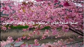 صلو صلو عل الرسول محمد المازم Nasheed sallu sallu ala al rasul