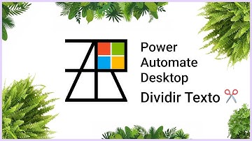 Power Automate Desktop | Dividir texto y formularios