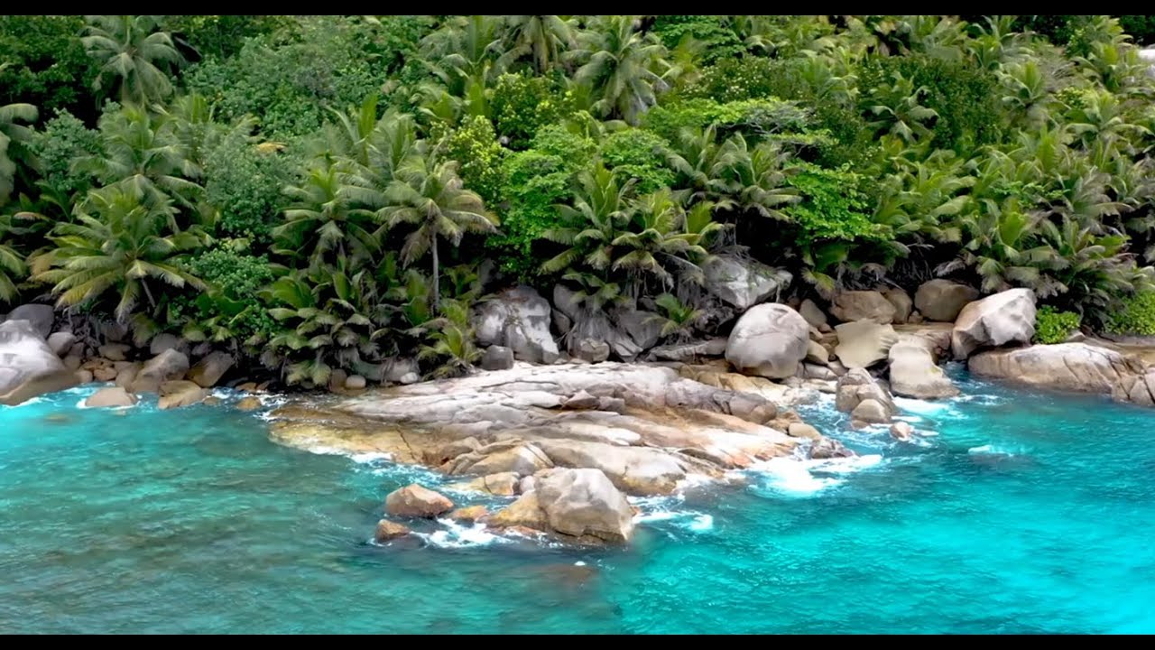 Gentle River Harmony: Melodic Stream