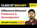 Difference Between Producers and Decomposers - Ecosystem | Class 12 Biology