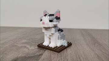 DAISO Petit Block | Cat | Age (12 years old and above)
