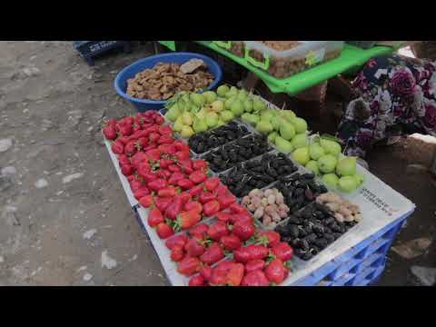 Kazdağları - Ayvalık - Cunda Adası Turu