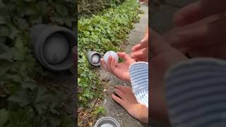 This Geocache Is A Hole-In-One