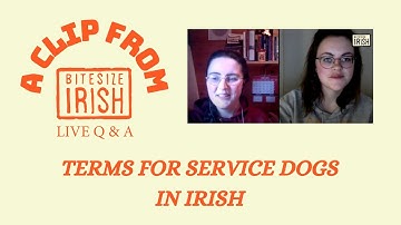 Terms for Service Dogs in Irish