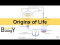 Earth's Early Atmosphere and Formation