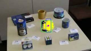 Video Tracking with an Adaptive Particle Filter (Cup 2)