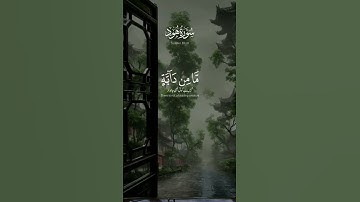 ما تيسر من #سورة #هود #coran #quran #islamic_video #islam #صدق_رسول_الله #القرآن_الكريم #القرآن