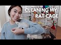 HOW I CLEAN MY RAT CAGE + cage setup tour