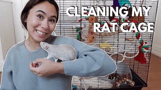 HOW I CLEAN MY RAT CAGE + cage setup tour