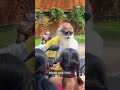 Sadhguru meets with the students of isha samskriti