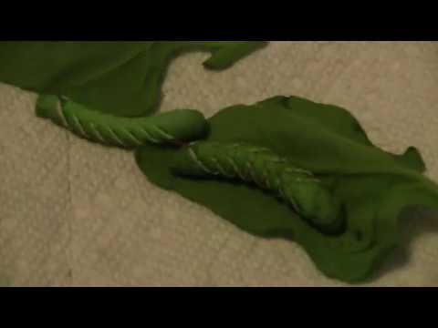 camera iphone 8 plus apk The Hornworms