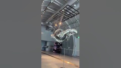 An art installation at the CERN Center, inspired by the LHC. Video by Ava B.