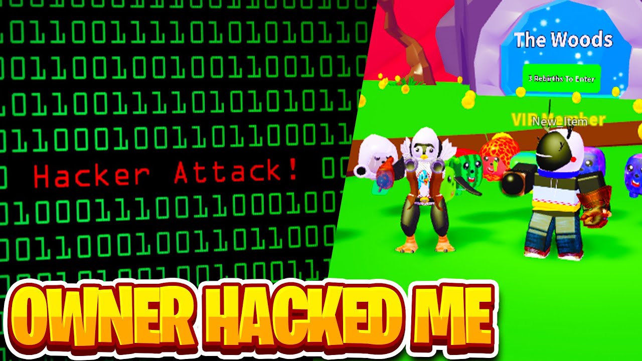 The Owner Hacked My Stats Insane Vacuum Simulator - 