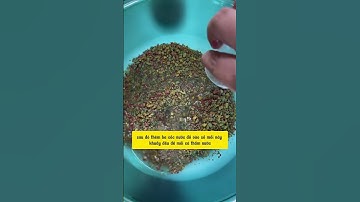 Bài mồi câu cá chép 3 trong 1 #cauca #dammecauca #fishing #fishingvideo #moicauca #câucá #moicau