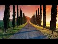 Wine Country Vibes — Summer Ambience &amp; ASMR — Sunset, Birds Singing, Beautiful Nature — Background
