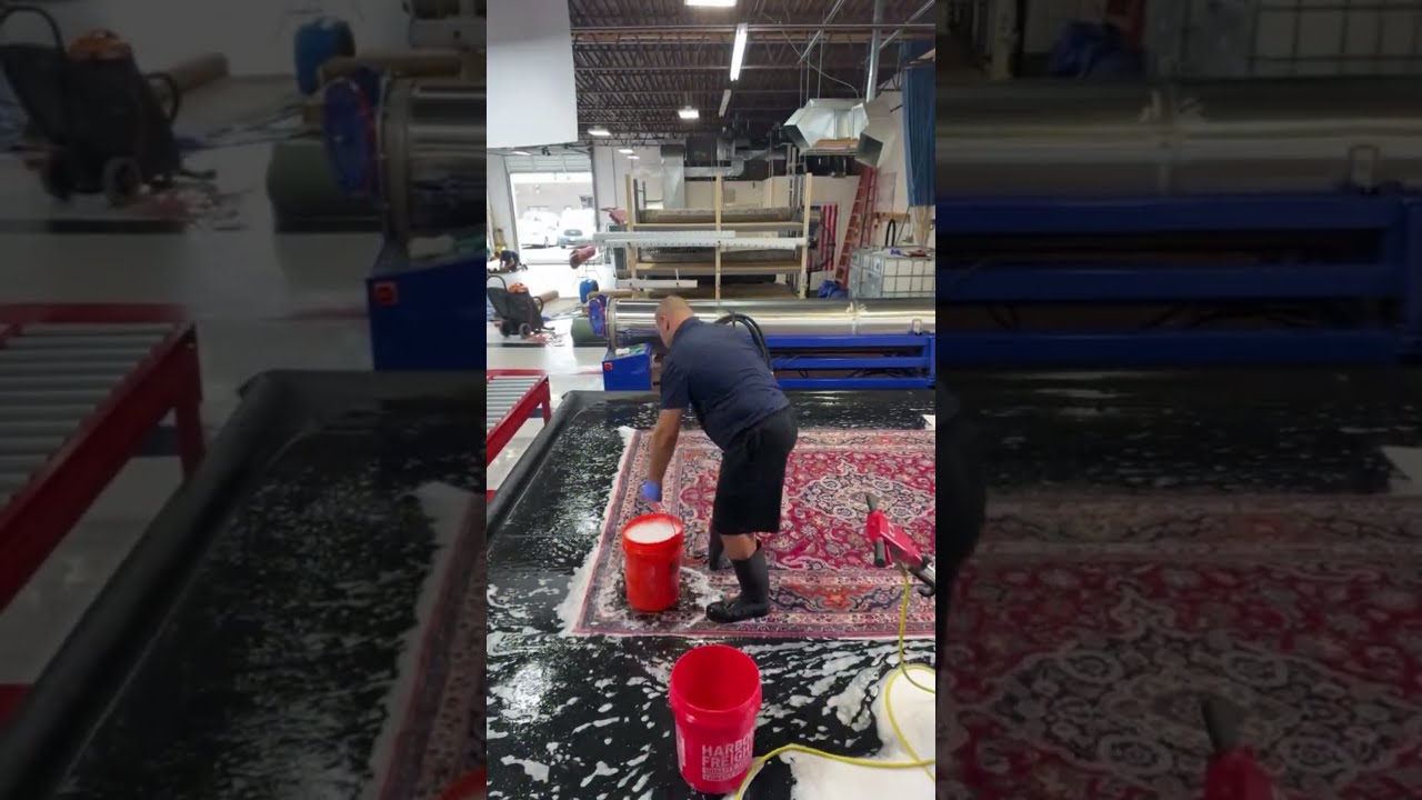 Rug Washing Time-lapse! 🧼 