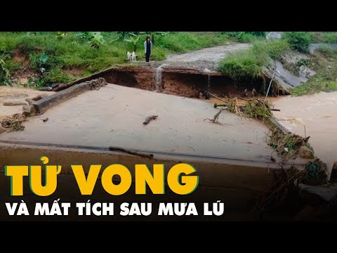 Video: Thông Tin Thêm Về Dinh Dưỡng Thể Thao