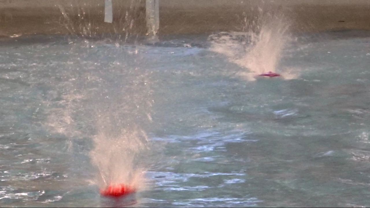 RC Rennboote im großem Wasserbecken | Modellbaumesse Modell Süd Stuttgart 2016