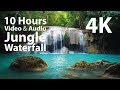 4k u10 hours  jungle waterfall  mindfulness ambience relaxing meditation nature