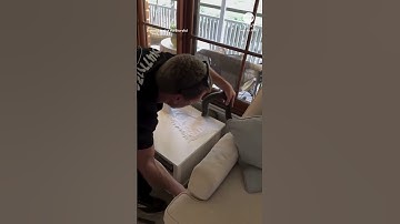 Carpet python removed from family home