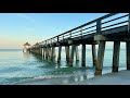 Robbs friday morning beach walk by the historic naples pier in naples fl 041924