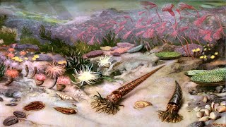 Кембрийский период палеозойской эры (рассказывает палеонтолог Эрвин Лукшевич)