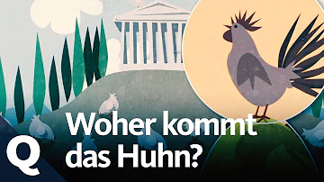 Wie sahen Hühner früher aus?