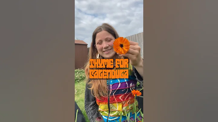 Soothe your skin with CALENDULA! 🌼