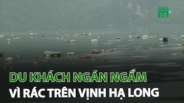 Du khách ngán ngẩm vì rác trên vịnh Hạ Long | VTC14