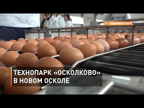 Технопарк «Осколково» запустили в Новом Осколе