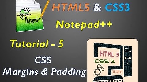 CSS Margins and Paddings(explained in Telugu) TUTORIAL-5