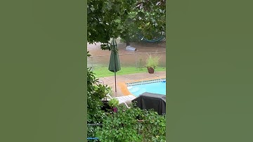 Trash can floating away.