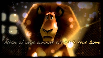 Animash : Safe And Sound