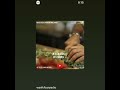 شو بحبك موش معقول وائل كفوري