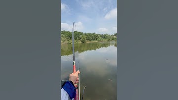 Đi câu hồ bán tự nhiên cùng anh em #fishing #caucathugian #cauca #fish #cuoccauca #caucatunhien