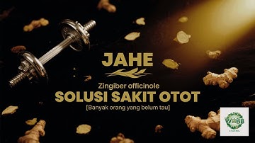 RAHASIA TERSEMBUNYI JAHE! | KEUNIKAN Jahe untuk Otak & Otot Pegal + Cara Tanam Mudah