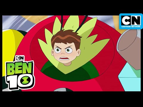 Die Jagd Nach Schatz | Ben 10 Deutsch | Cartoon Network