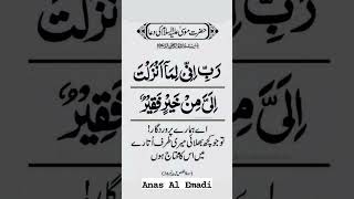 Prophet Moosa As ki Dua | Surah Qasas Ayat 24 Anas Al emadi #shorts #quran #dua #alhaqbymba #moses