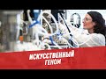 Искусственный геном — Физики и лирики