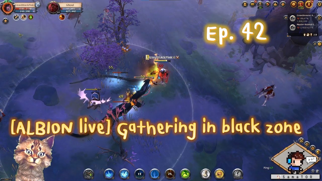[ALBION live] Gathering in black zone YouTube